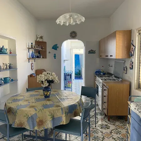 Azzurro Felix * Procida
